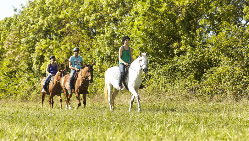 équitation_marais