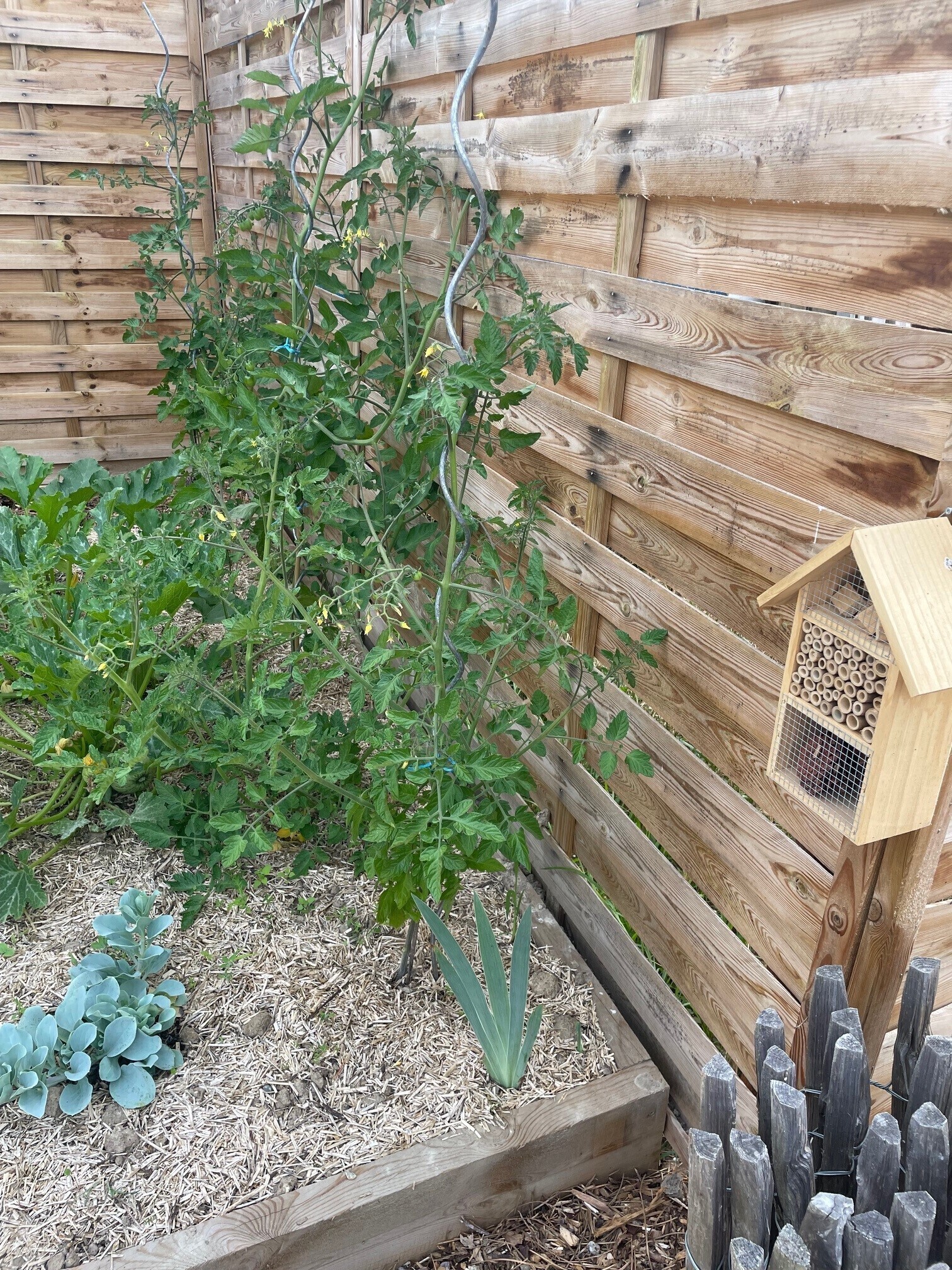 hôtel à insectes près du potager