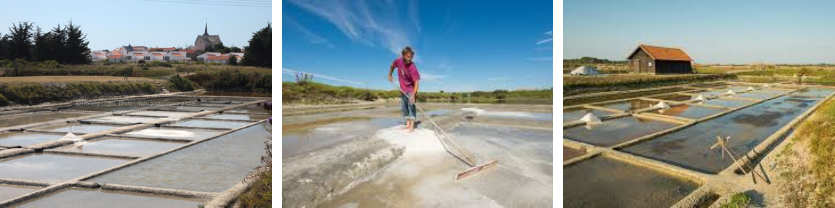 marais-salants-saint-hilaire-de-riez