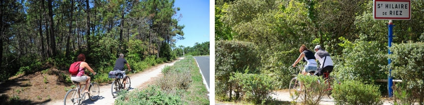 pistes-cyclables-vendee