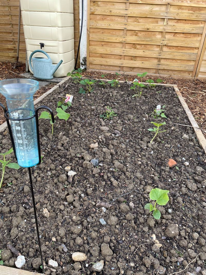 potager