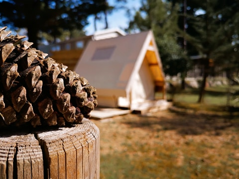 tente aménagée 1 lit pour 2 _ camping la Conge