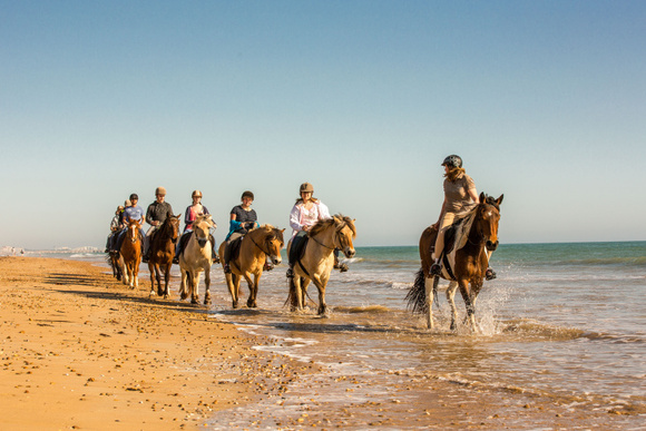 équitation_plage