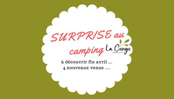 surprise