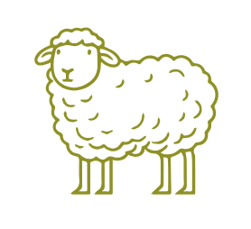 WIDGET MOUTON