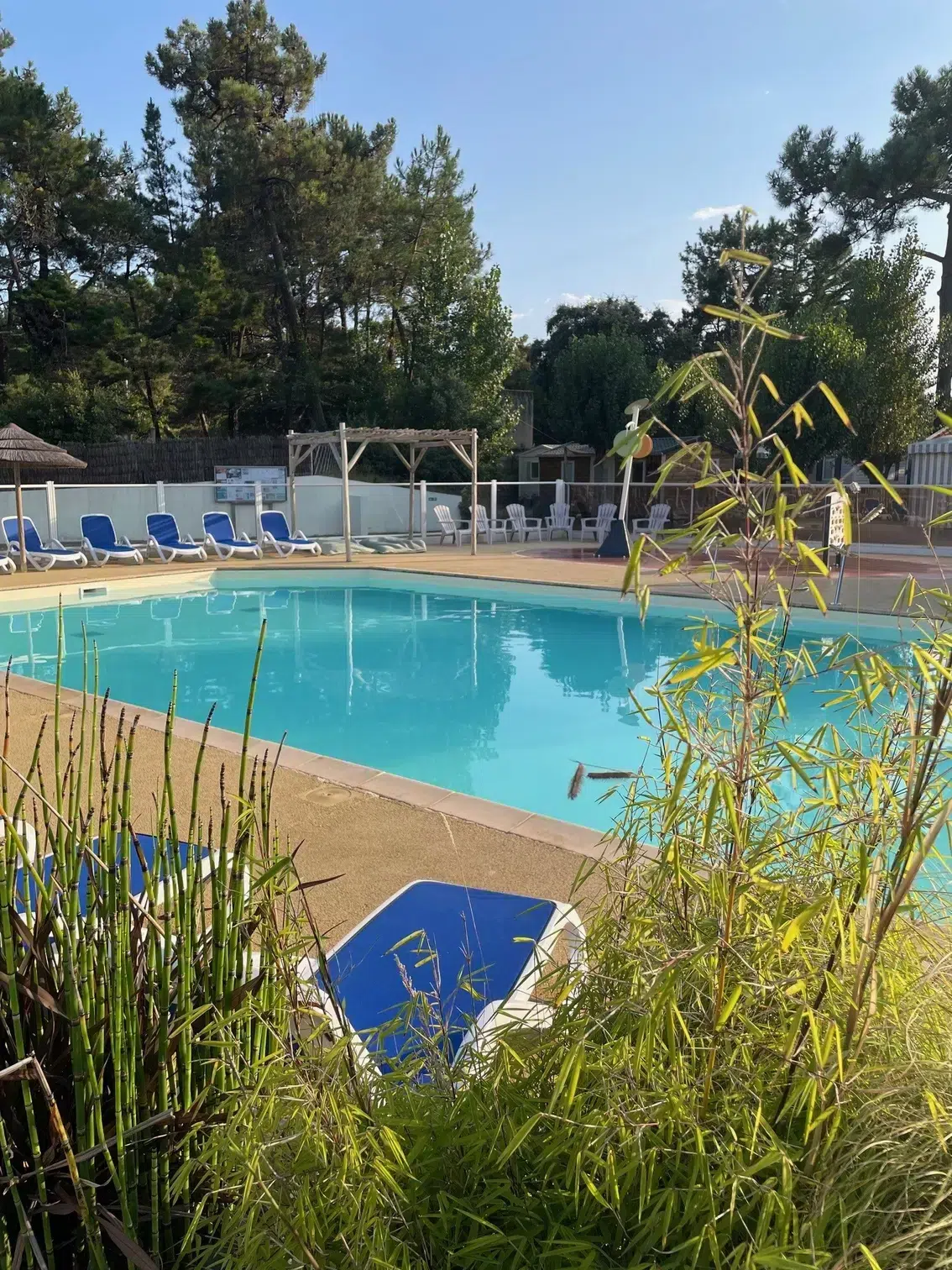 bassin piscine