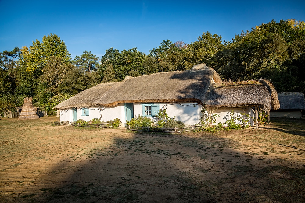 bourrine bois juquaud phot 7